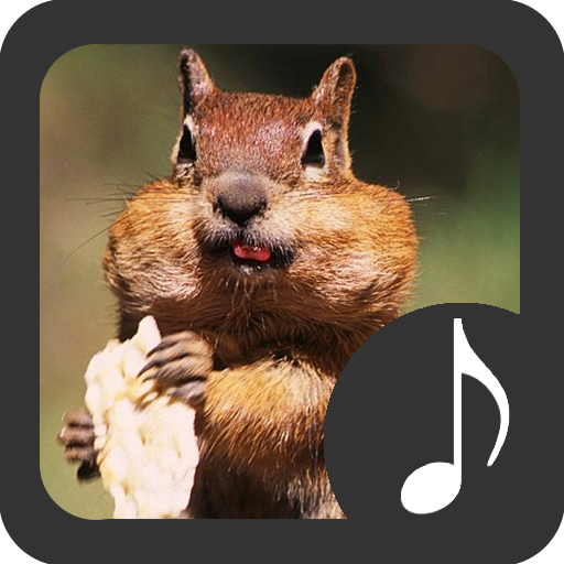Chipmunk Sounds icon