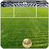 Hit Soccer Ball icon