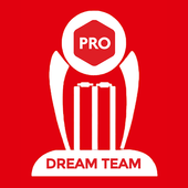 Dream Team Pro Guru icon