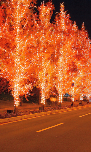 HD Christmas Light Wallpaper screenshot 13