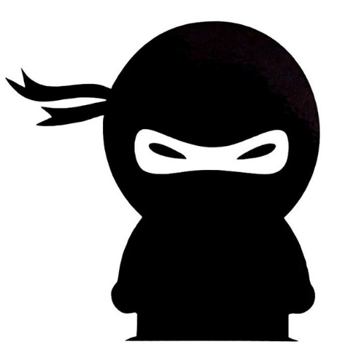 Ninja world icon