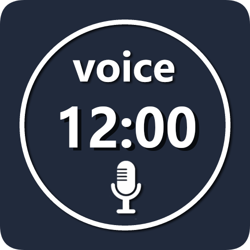 voice wake alarm-accessible alarm icon