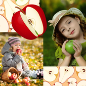 Apples Photo Collage icon