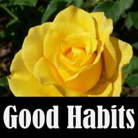 Good Habits on 9Apps