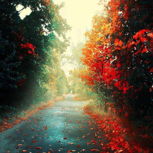 Осень Live Wallpaper иконка