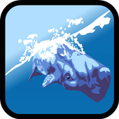 Dolphin Show Games For Free icon