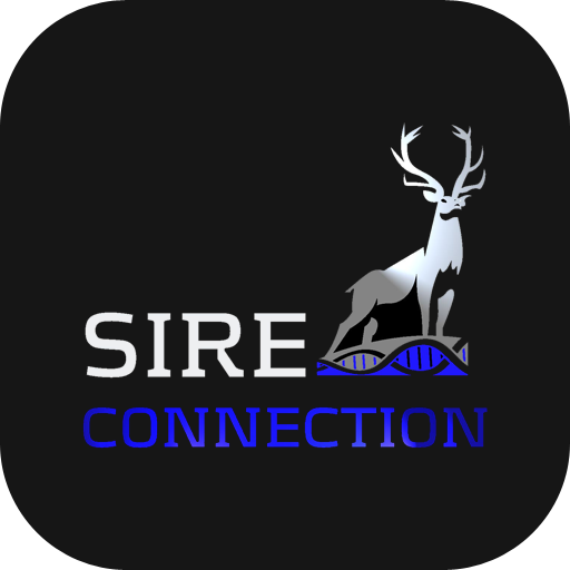 Sire Connections icon