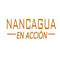 Nancagua en Acción