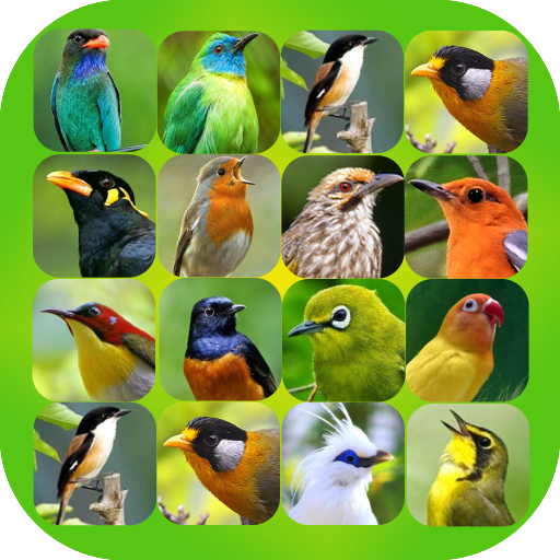 Bird Sound Plus icon
