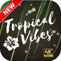 🍂 Tropical Leaves Wallpapers on 9Apps