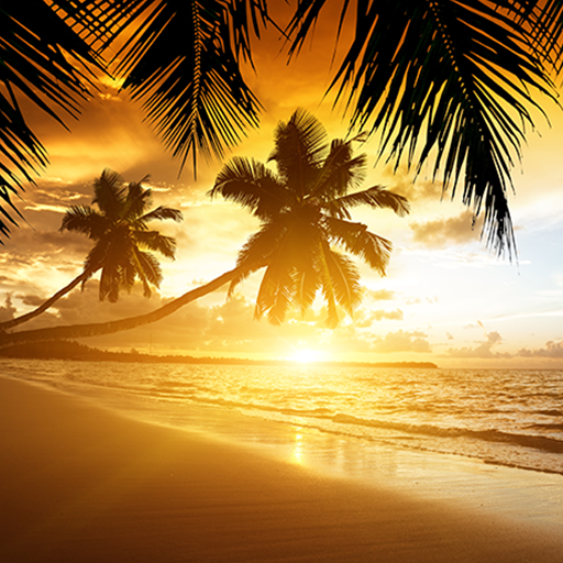 Beach Sunset Live Wallpaper icon