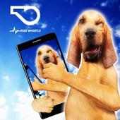 Dog Whistle - Frequency -  Train - Tricks & Guides