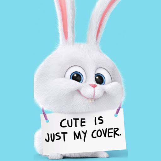 Cute Wallpaper أيقونة