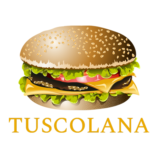 Er Burger Tuscolana icon