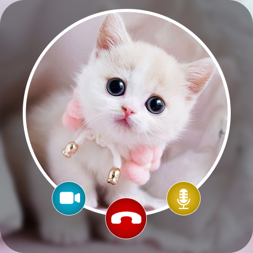 Cat Fake Video Call Prank icon