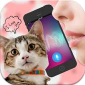 Cat Translator Simulator on 9Apps