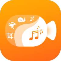 VidMix : Audio Video Mixer - Video Editor