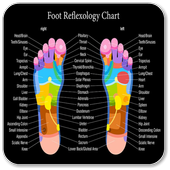 Foot Reflexology Chart icon