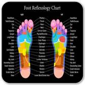 Foot Reflexology Chart