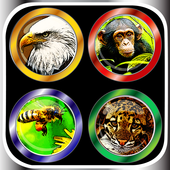 100'  Animal Sounds &amp; Buttons icon