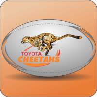 Free State Cheetahs Rugby