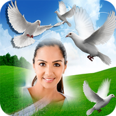 Bird Photo Frame Photo Editor icon