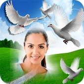 Bird Photo Frame Photo Editor on 9Apps