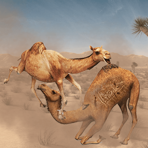 Camel Attack Fighting icon