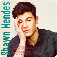 Shawn Mendes - Free offline albums