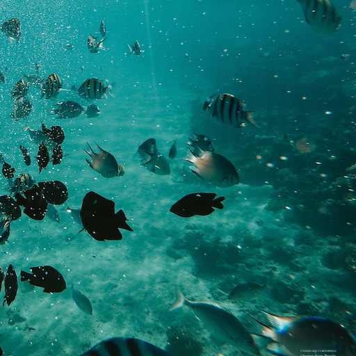 My Fishing Diary icon