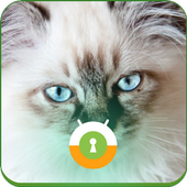 Blue Cat Eyes Wall &amp; Lock icon