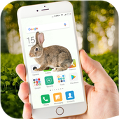 Rabbit on Screen Funny Joke icon