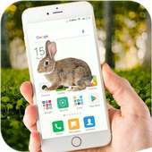 Rabbit on Screen Funny Joke