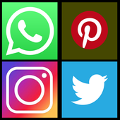 All Social Networks icon