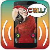 Parrot Announcer - Call Talker on 9Apps