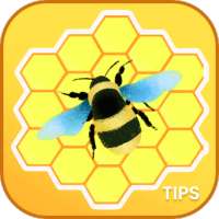 Honeygain Earn APK Tips