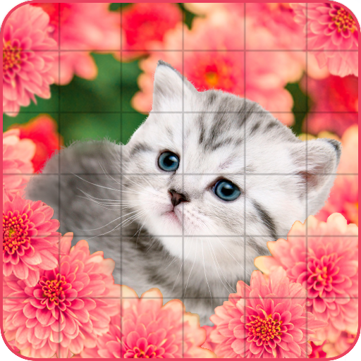 Tile Puzzle Cats 🐈 icon