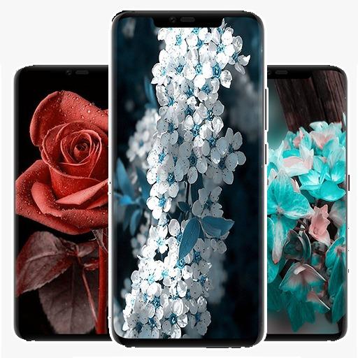 Wallpapers for infinix 2020 icon