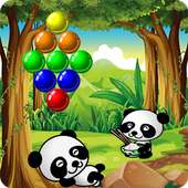 Bubble Panda Pop 2017 2