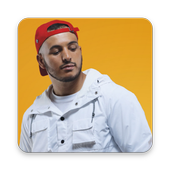 Hornet La Frappe أيقونة