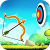 Archery Arrow Shooting