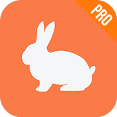Turbo VPN Pro icon