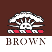 Brown icon