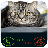 fake call from cat icon