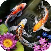 Lively Koi Launcher - HD Live Wallpapers, Themes icon