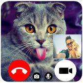 Cat Fake Video Call icon