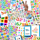 Flash Card Collection 2016 icon