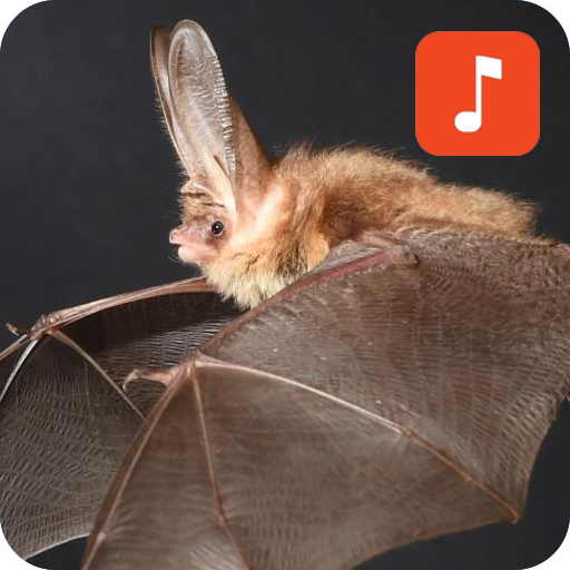 Bat Sound Effects icon