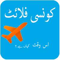 Free Flight Tracker for Pakistan
