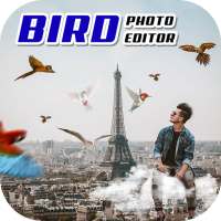 Bird Photo Editor on 9Apps